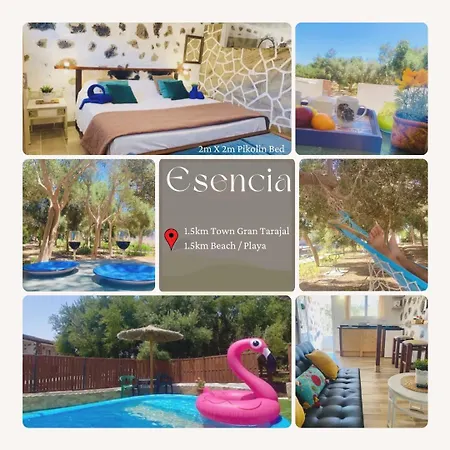 Casa de Férias Alma #only Adults *